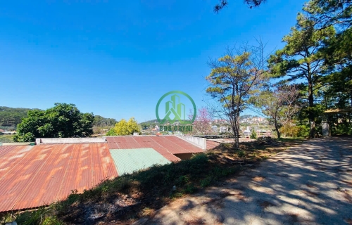 BÁN LÔ ĐẤT ĐƯỜNG HOÀNG HOA THÁM - P10 - ĐÀ LẠT.