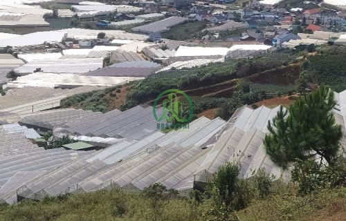 CẦN BÁN ĐẤT TDP ĐAN KIA - LẠC DƯƠNG - LÂM ĐỒNG