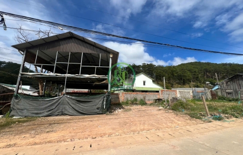 CẦN BÁN ĐẤT KHU PHỐ 8 - PHƯỜNG 3 - ĐÀ LẠT