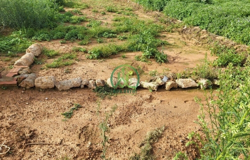 CẦN BÁN 2 LÔ ĐẤT ĐƯỜNG TRẦN ANH TÔNG, PHƯỜNG 8, ĐÀ LẠT