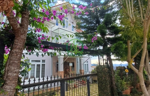 BÁN BIỆT THỰ KQH PHÙ ĐỔNG THIÊN VƯƠNG - P8 - ĐÀ LẠT.