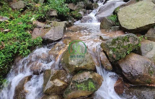 CẦN BÁN ĐẤT PHƯỜNG 5 - ĐÀ LẠT