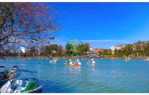 BÁN ĐẤT TẶNG NHÀ ĐƯỜNG NGUYỄN THỊ NGHĨA-P2-ĐÀ LẠT