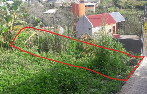 CẦN CHO THUÊ ĐẤT TRỐNG ĐƯỜNG KHE SANH, PHƯỜNG 10, ĐÀ LẠT