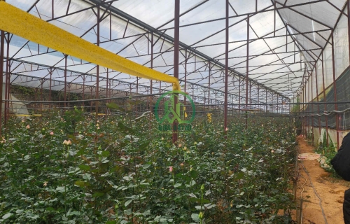   CẦN BÁN 3000M2 ĐẤT THỊ TRẤN LẠC DƯƠNG, HUYỆN LẠC DƯƠNG,LÂM ĐỒNG