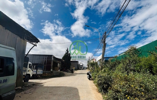 CẦN BÁN ĐẤT ĐƯỜNG CÙ CHÍNH LAN - P8 - ĐÀ LẠT