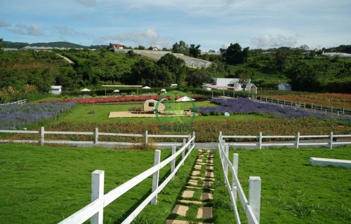 BÁN 1.5 HECTA ĐẤT ĐANG KHAI THÁC DU LỊCH TÀ NUNG - ĐÀ LẠT