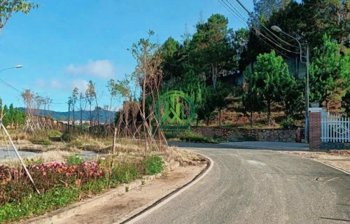 CẦN BÁN ĐẤT KHU TÁI ĐỊNH CƯ BỆNH VIỆN NHI LÂM ĐỒNG - PHƯỜNG 7 - ĐÀ LẠT - LÂM ĐỒNG
