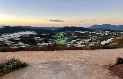  CẦN BÁN ĐẤT 3 MẶT TIỀN GẦN NGAY UBND XÃ XUÂN THỌ, TP. ĐÀ LẠT