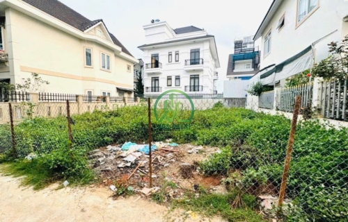 CẦN BÁN ĐẤT ĐƯỜNG MAI ANH ĐÀO - P8 - ĐÀ LẠT