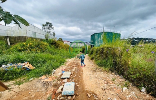 CẦN BÁN ĐẤT TRIỆU VIỆT VƯƠNG, PHƯỜNG 4, TP. ĐÀ LẠT