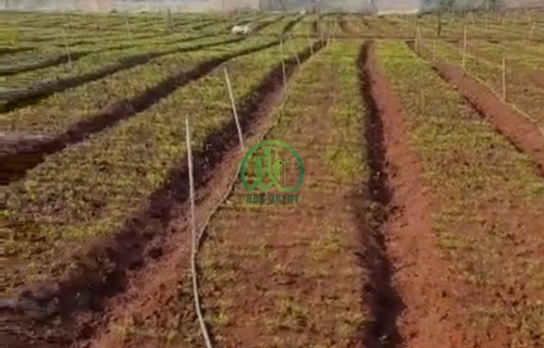 BÁN ĐẤT ĐẸP XÃ PHÚ HỘI- ĐỨC TRỌNG - LÂM ĐỒNG