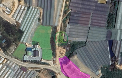 CẦN BÁN ĐẤT NÔNG NGHIỆP CHÂU VĂN LIÊM- P7- ĐÀ LẠT