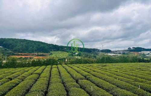 CẦN BÁN CĂN NHÀ 2 MẶT TIỀN TẠI TRẠM HÀNH - XUÂN TRƯỜNG - ĐÀ LẠT