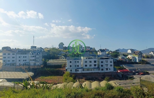 CẦN BÁN ĐẤT ĐƯỜNG TRỊNH HOÀI ĐỨC - PHƯỜNG 11 - ĐÀ LẠT