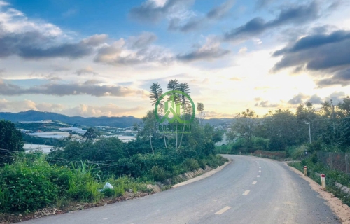 CẦN BÁN ĐẤT MẶT TIỀN ĐƯỜNG NHỰA XÃ ĐẠ SAR - LẠC DƯƠNG - LÂM ĐỒNG