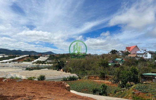 CẦN BÁN GẤP ĐẤT MẶT TIỀN ĐƯỜNG NHỰA XÃ ĐẠ SAR - LẠC DƯƠNG