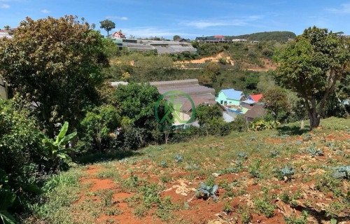 BÁN ĐẤ𝐓 𝐊𝐐𝐇 𝐗𝐔Â𝐍 𝐓𝐑ƯỜ𝐍𝐆 - ĐÀ 𝐋Ạ𝐓 - 𝟒 𝐓Ỷ.