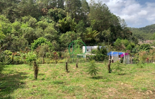 CẦN BÁN ĐẤT BẰNG PHẲNG ĐẸP ĐÈO MIMOSA - P10 - ĐÀ LẠT