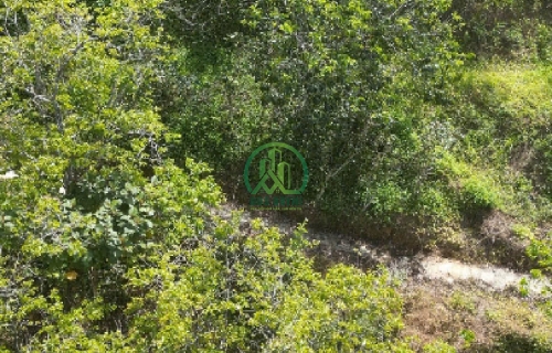 CẦN BÁN ĐẤT khu du lịch Hoàng Hoa Thám, P.10, Đà Lạt.