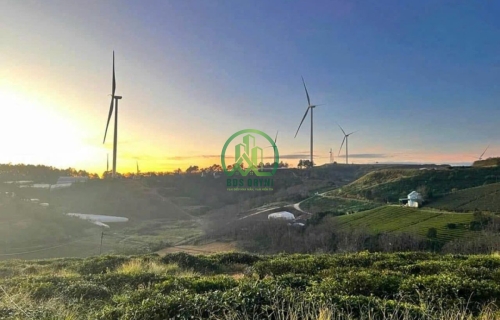 BÁN LÔ ĐẤT 4200M2 XUÂN TRƯỜNG - ĐÀ LẠT.