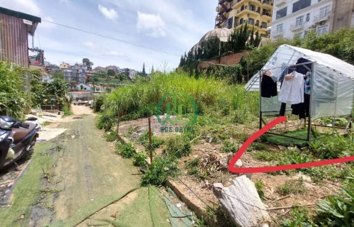 CẦN BÁN ĐẤT ĐƯỜNG 3/4, PHƯỜNG 3, TP. ĐÀ LẠT 