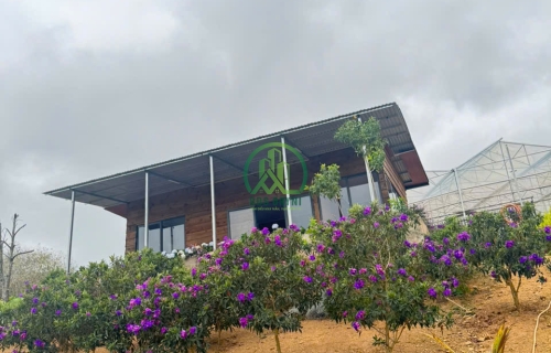 CẦN BÁN NHÀ VƯỜN NGHỈ DƯỠNG XÃ ĐA SAR - LẠC DƯƠNG - LÂM ĐỒNG