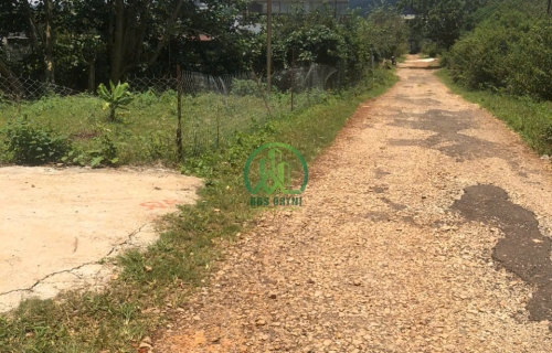 CẦN BÁN ĐẤT MĂNG LIN, PHƯỜNG 7, TP. ĐÀ LẠT