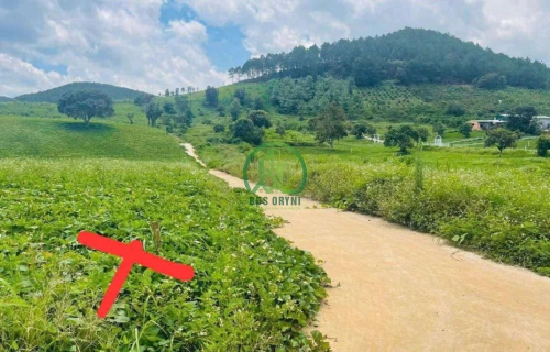 CẦN BÁN ĐẤT LÀNG YÊN BÌNH NAM BAN- LÂM HÀ- LÂM ĐỒNG