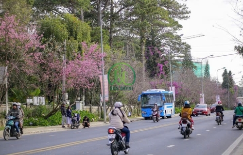 CẦN BÁN NHÀ ĐẤT 2 MẶT TIỀN ĐƯỜNG HÙNG VƯƠNG - P9 - ĐÀ LẠT