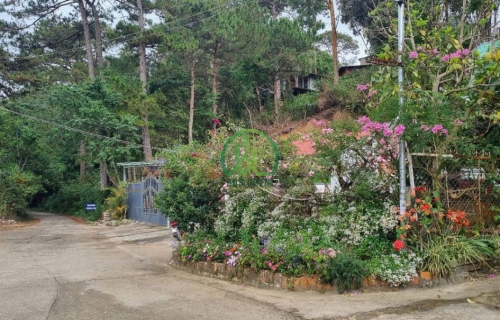 CẦN BÁN NHÀ ĐẤT ĐƯỜNG LÊ LAI, PHƯỜNG 5, TP. ĐÀ LẠT