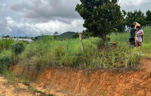 CẦN BÁN LÔ ĐẤT NÔNG NGHIỆP XÃ TÀ NUNG - ĐÀ LẠT