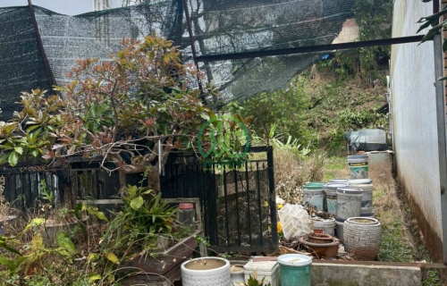 CẦN BÁN ĐẤT HẺM LỮ GIA - PHƯỜNG 9 - ĐÀ LẠT 