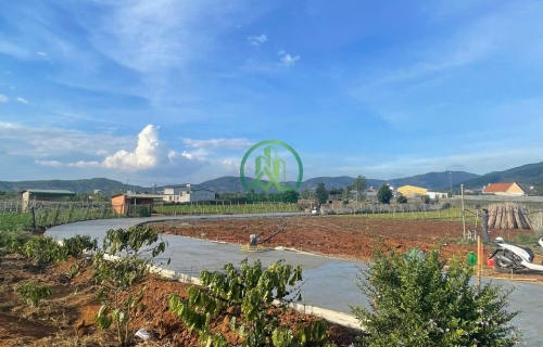 CẦN BÁN GẤP ĐẤT XÃ LIÊN HIỆP - HUYỆN ĐỨC TRỌNG