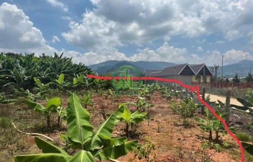 CẦN BÁN ĐẤT KP ĐÔNG ANH - THỊ TRẤN NAM BAN - LÂM HÀ