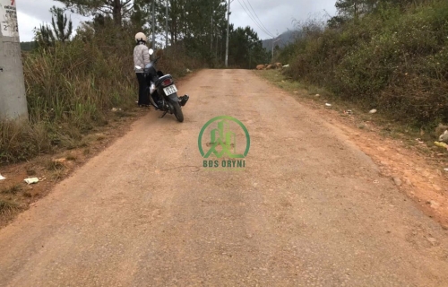 CẦN BÁN ĐẤT ĐANG TRỒNG HOA  XÃ ĐẠ SAR, HUYỆN LẠC DƯƠNG, LÂM ĐỒNG