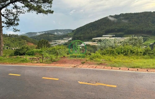 CẦN BÁN ĐẤT MĂNG LIN VIEW SIÊU ĐẸP - P7 - ĐÀ LẠT