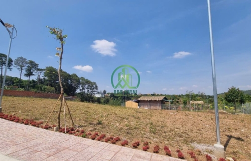 CẦN BÁN ĐẤT N'THÔN HẠ, HUYỆN ĐỨC TRỌNG, LÂM ĐỒNG