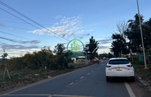 BÁN ĐẤT MẶT TIỀN QUỐC LỘ  27. CÁCH SÂN BAY LIÊN KHƯƠNG 5KM  3,9 TỶ 