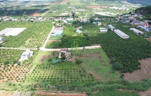 BÁN ĐẤT MÊ LINH-LÂM HÀ 360M2 GIÁ 1,2 TỶ 