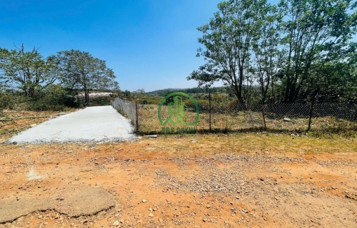 BÁN LÔ ĐẤT ĐƯỜNG MĂNG LIN - P7 - ĐÀ LẠT