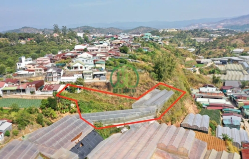 CẦN BÁN ĐẤT NÔNG NGHIỆP ĐƯỜNG XÔ VIẾT NGHỆ TĨNH - P7 - ĐÀ LẠT