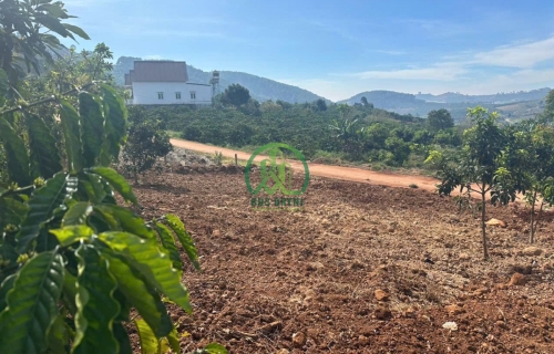 CẦN BÁN ĐẤT TDP CHI LĂNG 2 - NAM BAN - LÂM HÀ