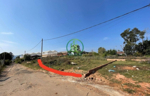 CẦN BÁN ĐẤT MĂNG LIN, PHƯỜNG 7, TP. ĐÀ LẠT- 203M2