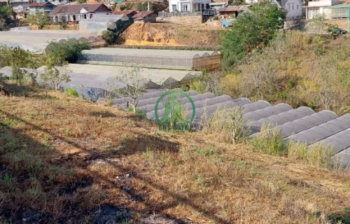 CẦN BÁN ĐẤT MẶT TIỀN ĐƯỜNG NHỰA XUÂN THÀNH- XUÂN THỌ- ĐÀ LẠT Giá: 6 tỷ 