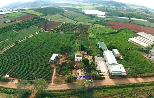 BÁN ĐẤT THỔ CƯ VIEW ĐẸP – THÔN PHÚ CAO, XÃ TÀ HINE – ĐỨC TRỌNG, LÂM ĐỒNG