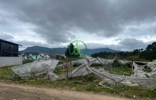 BÁN LÔ ĐẤT NÔNG NGHIỆP ĐƯỜNG ĐANKIA - P7 - ĐÀ LẠT