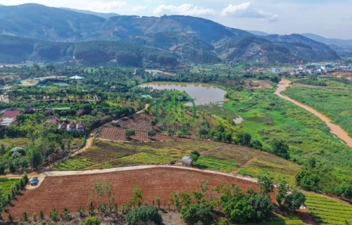 CẦN BÁN ĐẤT XÃ TÀ NUNG, TP. ĐÀ LẠT, LÂM ĐỒNG