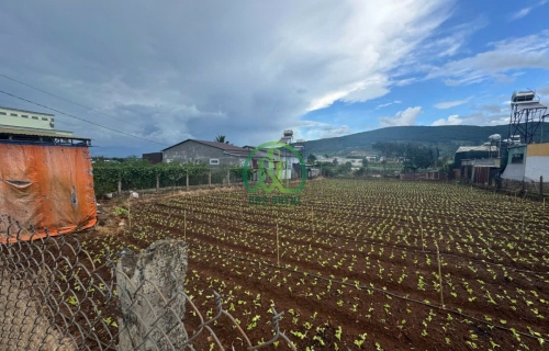 CẦN BÁN LÔ ĐẤT ĐẸP XÃ HIỆP THẠNH - ĐỨC TRỌNG