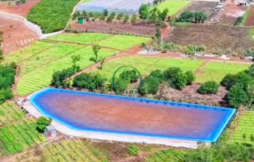 BÁN LÔ ĐẤT 2419M2 TÀ NUNG - ĐÀ LẠT. 